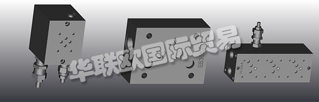 EUROFLUID Hydraulic是一家大型公司，專(zhuān)門(mén)生產(chǎn)液壓設(shè)備的歧管。
