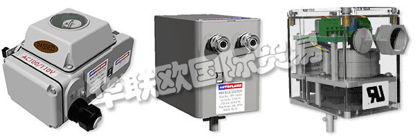 因此被視為AUTOFLAME公司和質(zhì)量管理體系的主要目標(biāo)。
