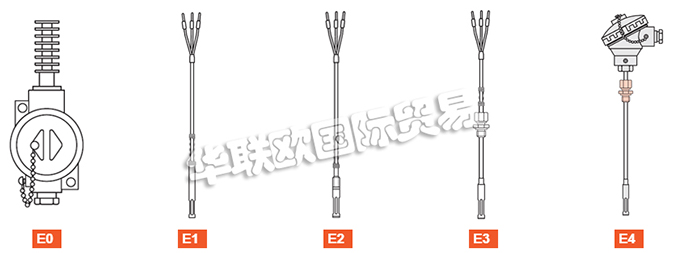ELSI探頭、ELSI溫度計、熱電阻、熱電偶、熱電偶探頭、電阻溫度計探頭、溫度變送器、便攜式溫度計、滑動法蘭、電子溫度計連接頭、滑動螺紋配件。