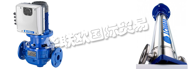 意大利LOWARA是一家專門生產(chǎn)不銹鋼泵的公司，他們提供的產(chǎn)品有：意大利LOWARA泵,、LOWARA水泵、循環(huán)器、端吸泵、多級泵、直列式泵、濕轉(zhuǎn)子循環(huán)器、變速泵、冷凝泵、自吸泵、潛水鉆孔泵、潛水污水和污水泵、潛水式脫水泵、外圍泵、泵控制器、驅(qū)動器、變頻器、控制器、壓力開關(guān)控制器。