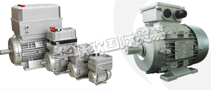 意大利BERMAR公司的主要產(chǎn)品包括：意大利BERMAR電機、BERMAR電動機、異步電機、異步電動機、永磁發(fā)動機、逆變器、伺服通風電動機、伺服電動機、工業(yè)洗衣機電動機、單相電動機、DRIVEJET鼓風機、高效電機、泵、風扇、工業(yè)壓縮機。